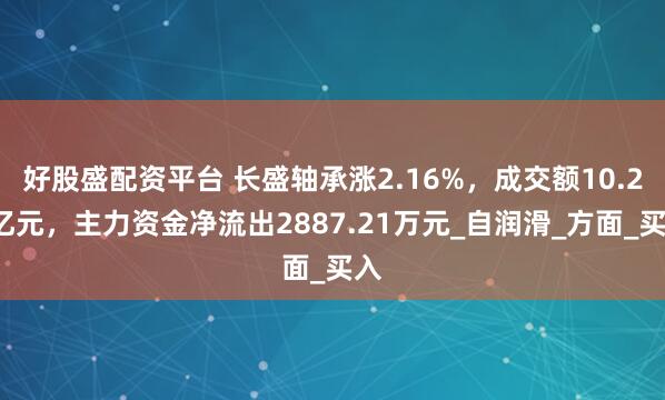 好股盛配资平台 长盛轴承涨2.16%，成交额10.21亿元，主力资金净流出2887.21万元_自润滑_方面_买入